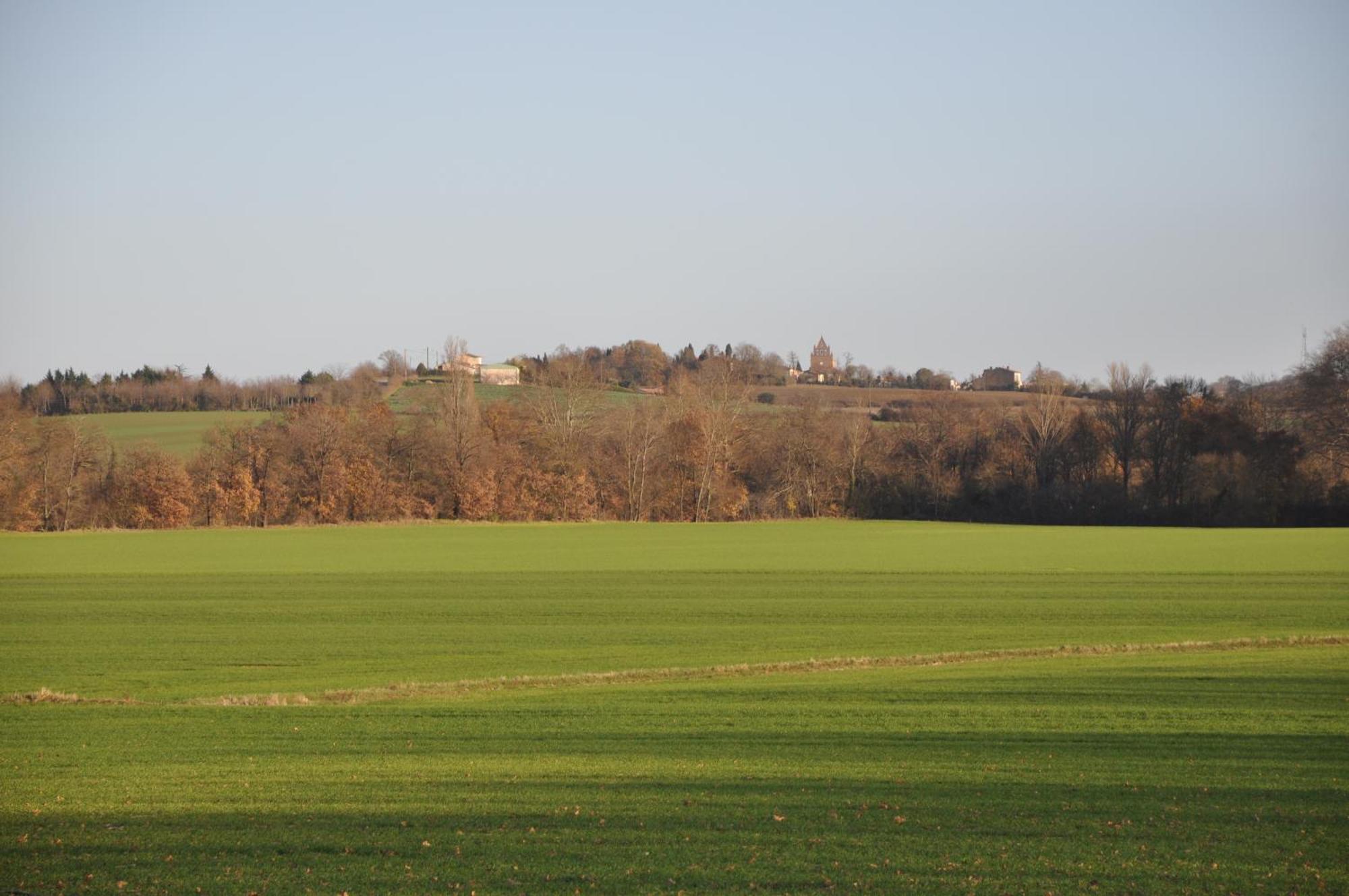Domaine De Hurlevent Montgaillard-Lauragais Exterior foto