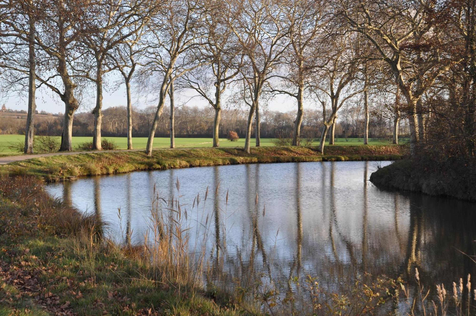 Domaine De Hurlevent Montgaillard-Lauragais Exterior foto